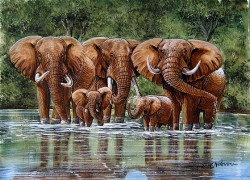 Ndeveni - Tuskers with Family
