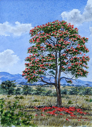 Thiongo - Flame Tree