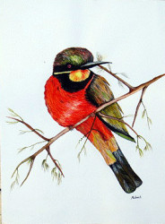 Muthonik - Bee Eater