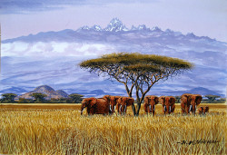 Ndeveni - Herd of Elephants Near Mt. Kenya