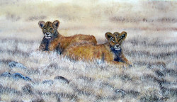 Ngoko - Lion Cubs