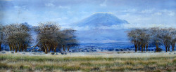 Ngoko - View of Kilimanjaro from Amboseli