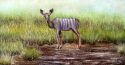 Ngoko - Young Kudu