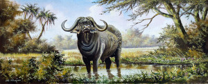 Mugwe---Cape-Buffalo-in-the-Shallows
