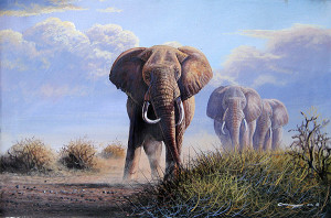 Mugwe - Endangered Elephants