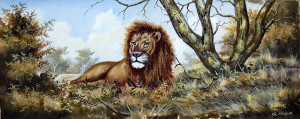 Mugwe---Lion-Aware