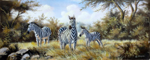Mugwe---Zebras-in-a-Clearing