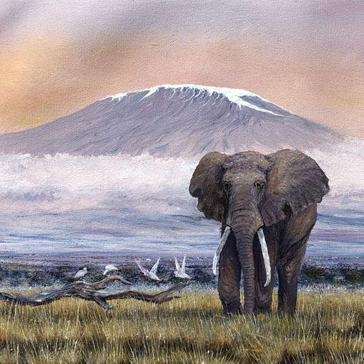 Ngoko - Lone Bull at Kili