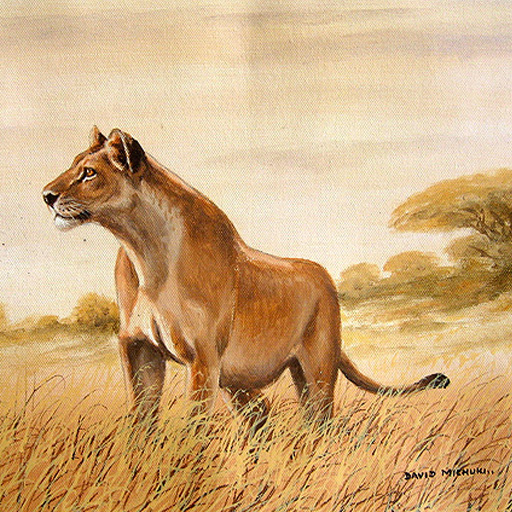 michuki w