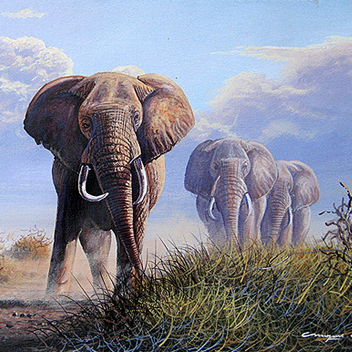 mugwe w