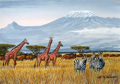 Ndeveni - From Amboseli