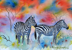 Thiongo-Zebras