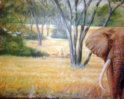 Even closer details of the elephants