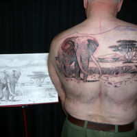 Done in two session, this photo was taken after the first session was completed. Note the original drawing to his left.